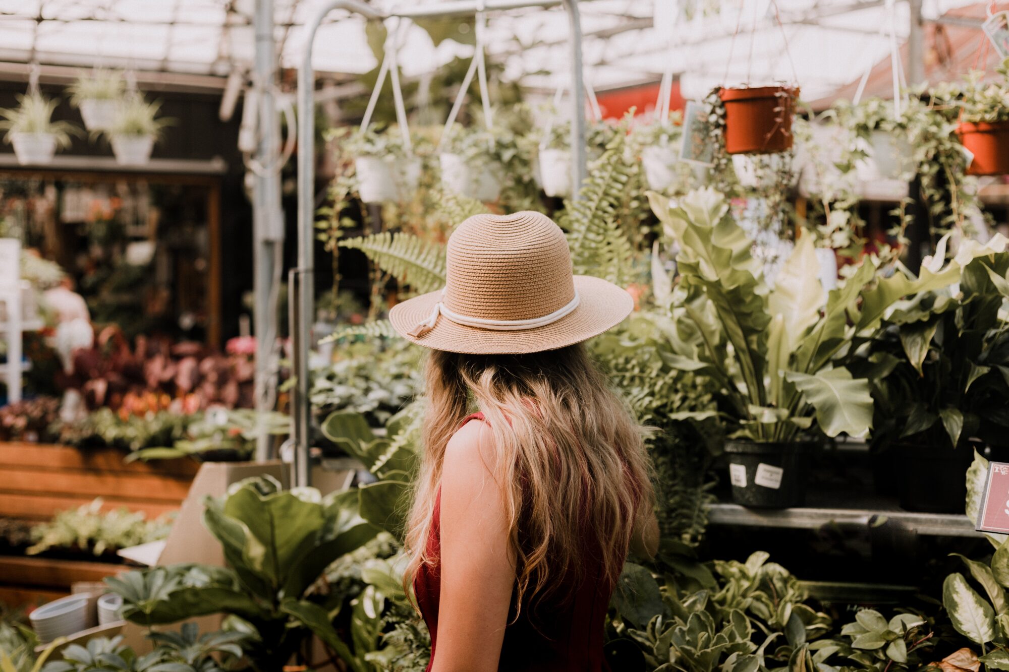 A woman browsing plants in a store